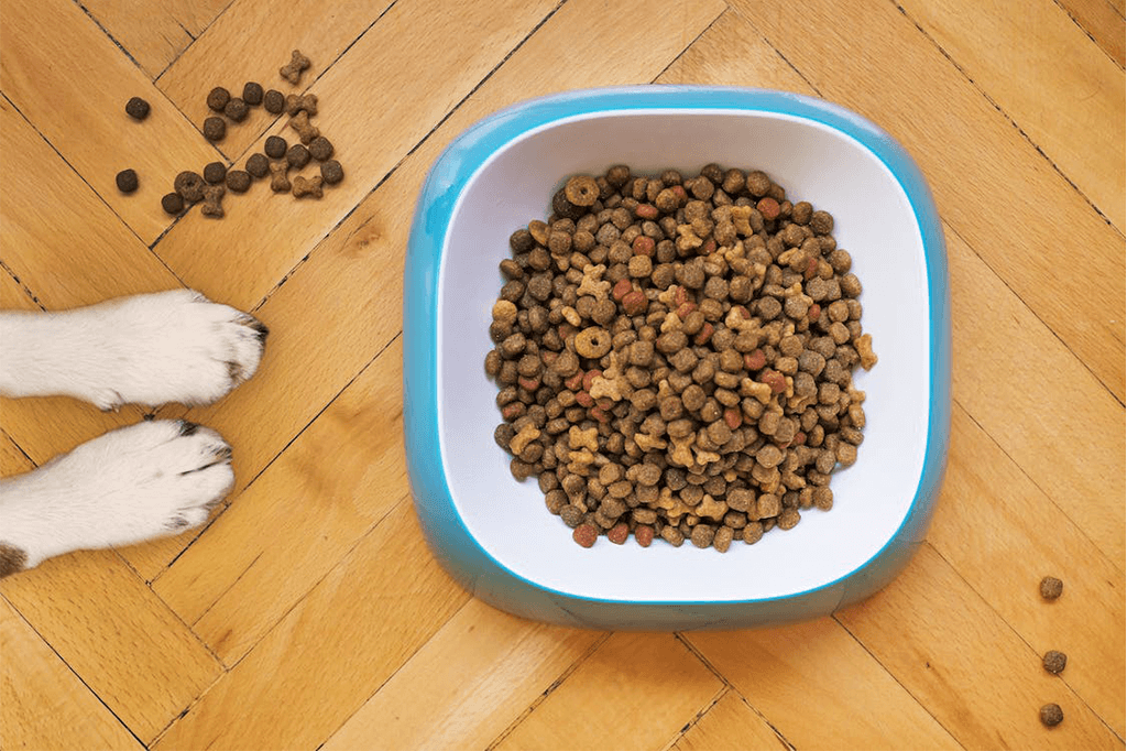 How To Choose A High Quality Dog Food