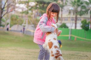 Socializing a puppy by introducing him to children at the park