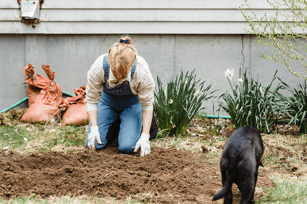 6 Ways To Stop A Dog From Digging Up Your Garden