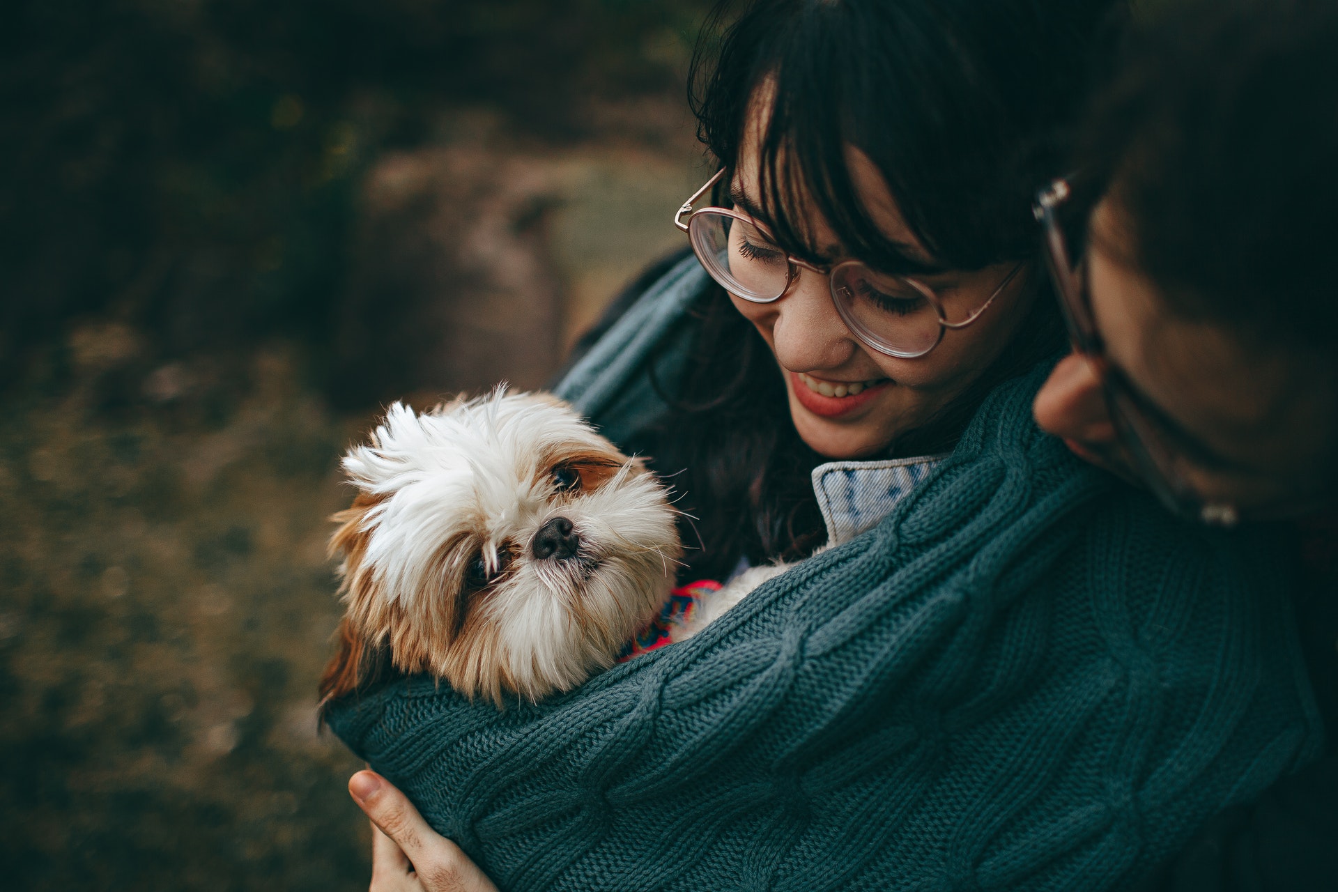 Socializing an unvaccinated puppy by carrying him around