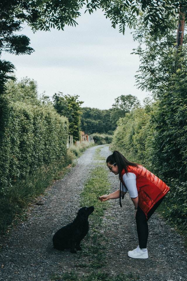 outdoor photo of woman in red vest bent over holding out treat to shaggy black dog