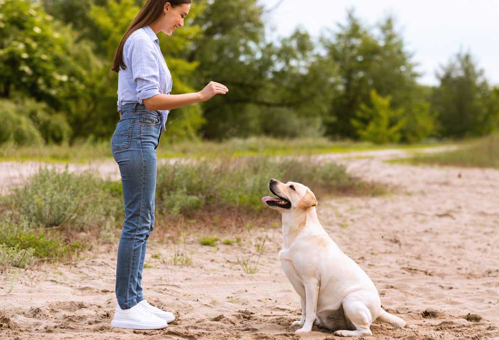 Woman training dog with hand signals