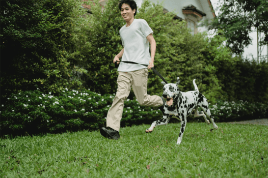 Dog Image