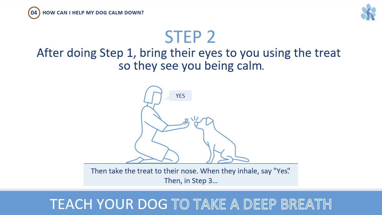 Screenshot of “Teach Your Dog To Take Deep Breath” powerpoint page