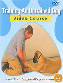 dvd 1
